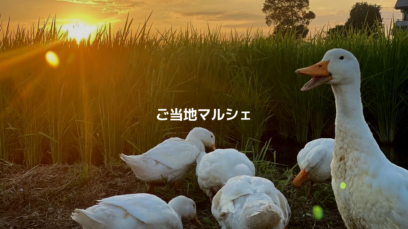 《ご当地マルシェ》北海道　知床マルシェ